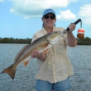 Meet your Posher, Debby